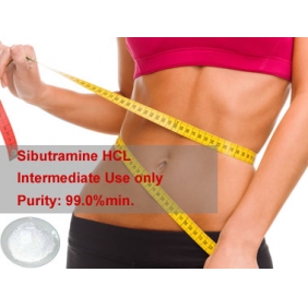 Sibutramine HCL 1KG/BAG 99.0%min. INTERMEDIATE ONLY