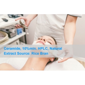 Ceramide Rice Bran Extract Source 10%min. HPLC 1kg/bag