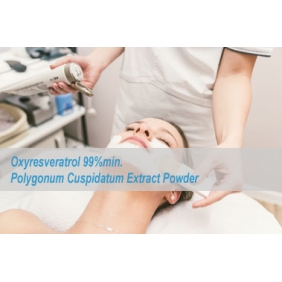 Oxyresveratrol 99% Polygonum Cuspidatum Extract 250Gram/BAG
