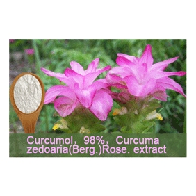 Curcumol 98% Curcuma zedoaria(Berg.)Rose. extract 1kg/bag free shipping
