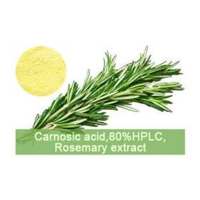 Carnosic acid 80%HPLC Rosemary extract 500g/bag free shipping