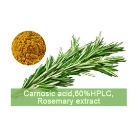 carnosic acid 60%HPLC Rosemary extract 1kg/bag free shipping