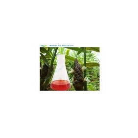 Rhizomazingiberis Oil Supercritical CO2 Extraction with terpinen-4-ol 35% By GC 1kg/bottle