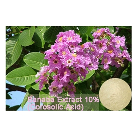 Banaba Extract 10% (Corosolic Acid) 100gram/bag free shipping - Click Image to Close
