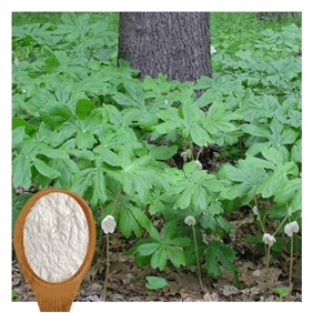 Podophyllotoxin 98% extracted from the roots and rhizomes of Podophyllum species 1000gram/bag free shipping