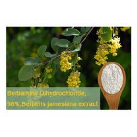 Berbamine Dihydrochloride Berberis jamesiana extract 1kg/bag free shipping
