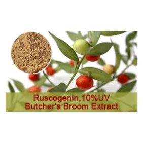 Ruscogenin 10%HPLC Butcher's Broom Extract 5kg/bag free shipping