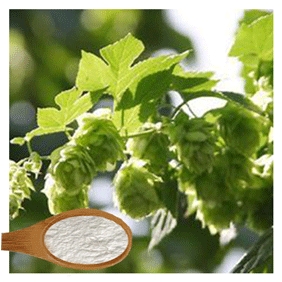 Xanthohumol 5% HPLC Extract from hops and beer 1000gram/bag free shipping