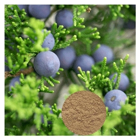 JUNIPER BERRY 3:1 various species of junipers Extract 1kg/bag free shipping
