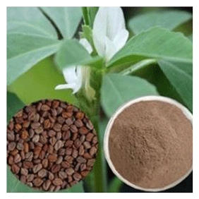 Fenugreek seed 33:1extract extracted from fenugreek seed 1kg/bag free shipping 200/kg