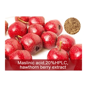 Maslinic acid 20%HPLC hawthorn berry extract 100gram/bag free shipping
