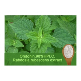Oridonin 98%HPLC Rabdosia rubescens extract 50gram/bag free shipping