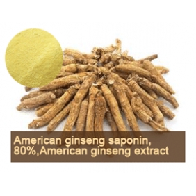 American ginseng saponin 80% American ginseng extract 1kg/bag free shipping