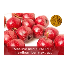 Maslinic acid 10%HPLC hawthorn berry extract 100gram/bag free shipping