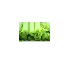celery Stalk Extract Powder 20:1 1KG/BAG