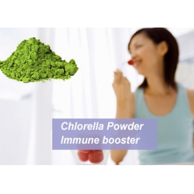 Chlorella Powder 1KG
