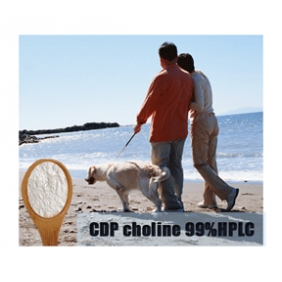 Citicoline (CDP Choline) 99%HPLC 1KG/BAG FREE SHIPPING