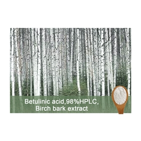 Betulinic acid 98%HPLC Birch bark extract 100g/bag free shipping