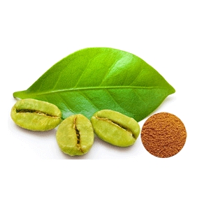 Green coffee bean extract chlorogenic acids 50% 1kg/bag free shipping