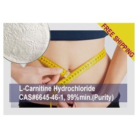 L-Carnitine Hydrochloride 5KG/BAG(11LB) WEIGHT CONTROL