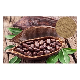 Cocoa Extract Theobromine 20%min 1kg/carton free shipping