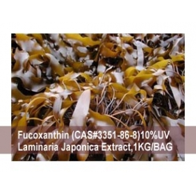 WEIGHT LOSS FUCOXANTHIN (10%UV CAS#3351-86-8) 1KG/BAG - Click Image to Close